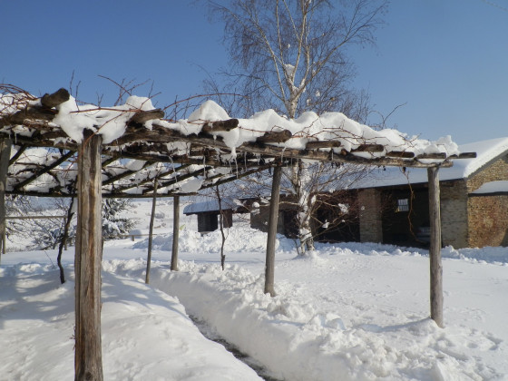 cascina bricchetto langhe